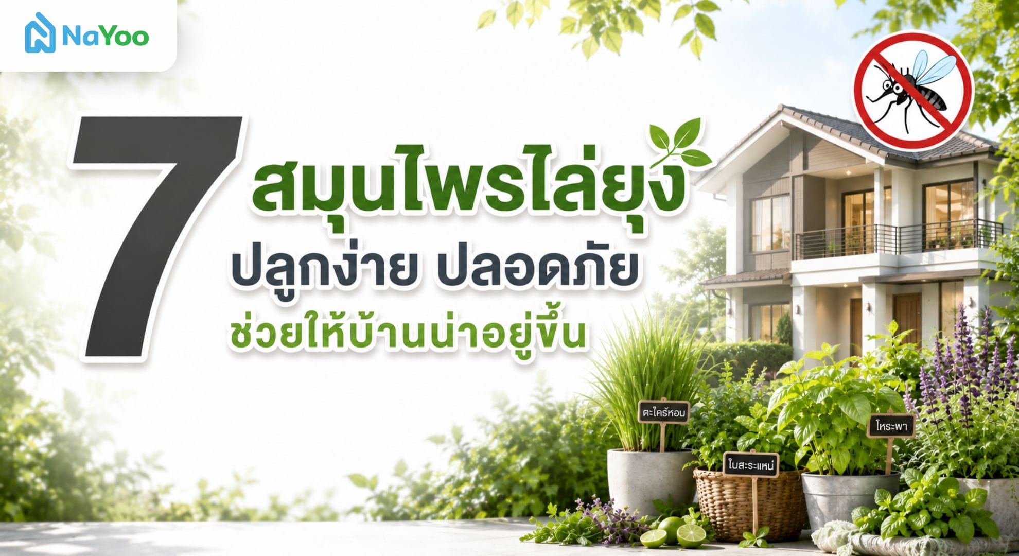 7 สมุนไพรไล่ยุงที่ปลูกได้ง่าย ๆ ที่บ้าน 