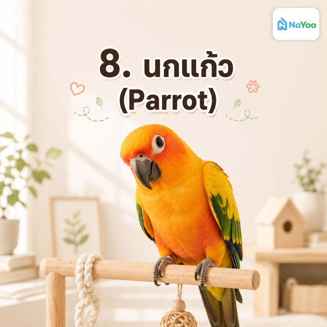 นกแก้ว (Parrot)