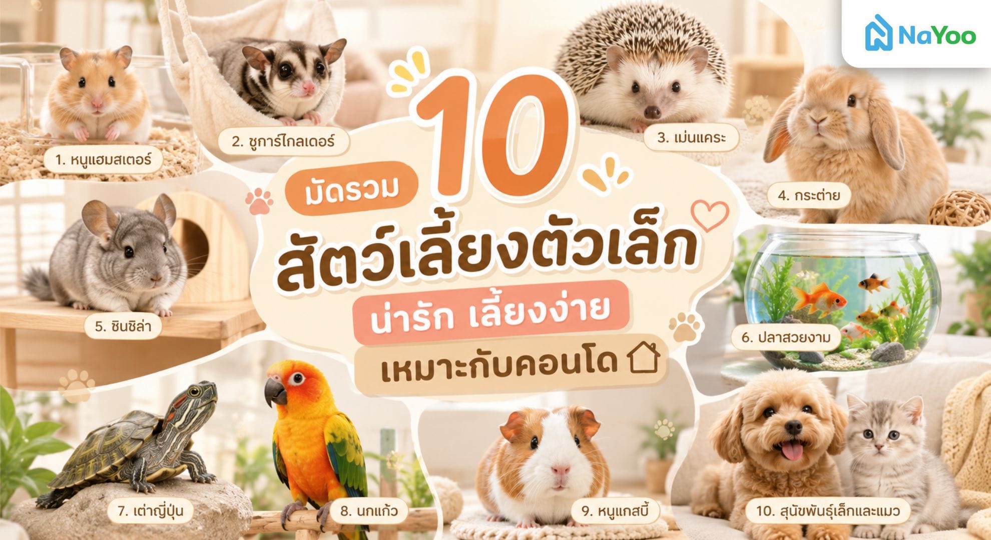 รวม 10 สัตว์เลี้ยงตัวเล็กยอดนิยม เลี้ยงง่าย ประหยัดพื้นที่
