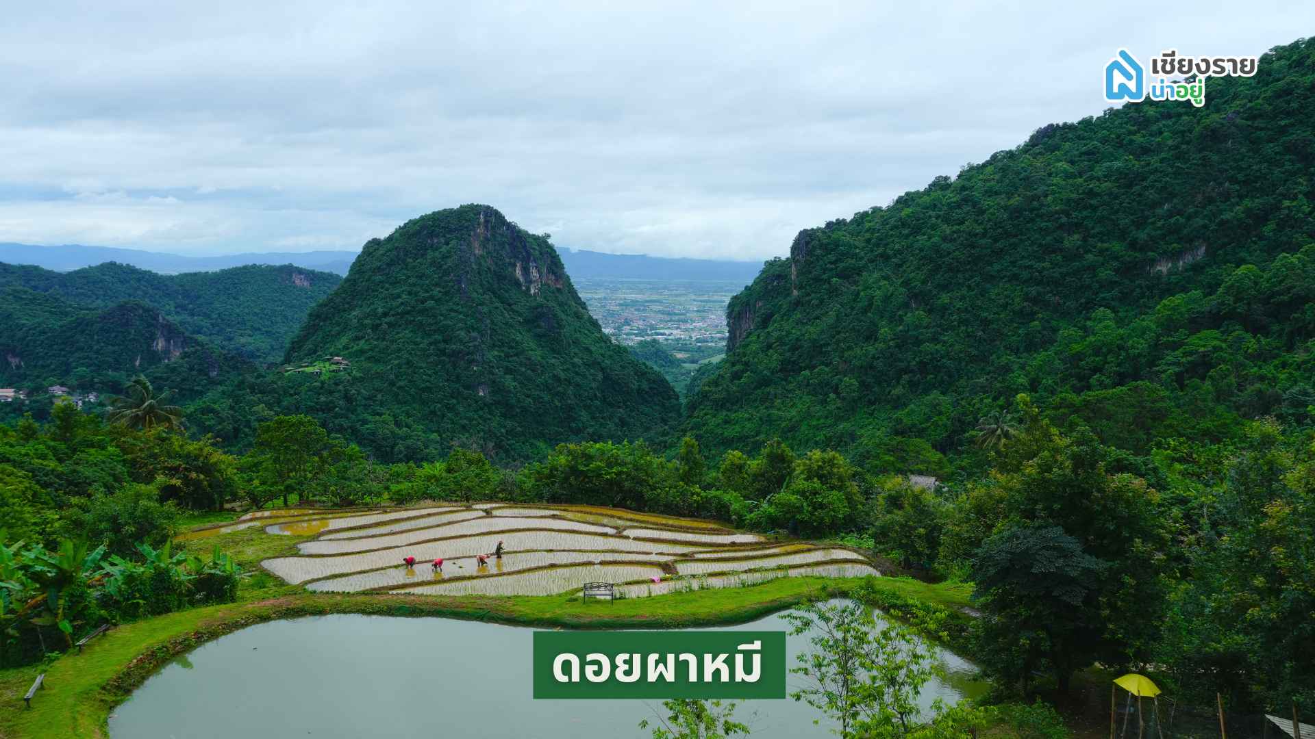 ดอยผาหมี