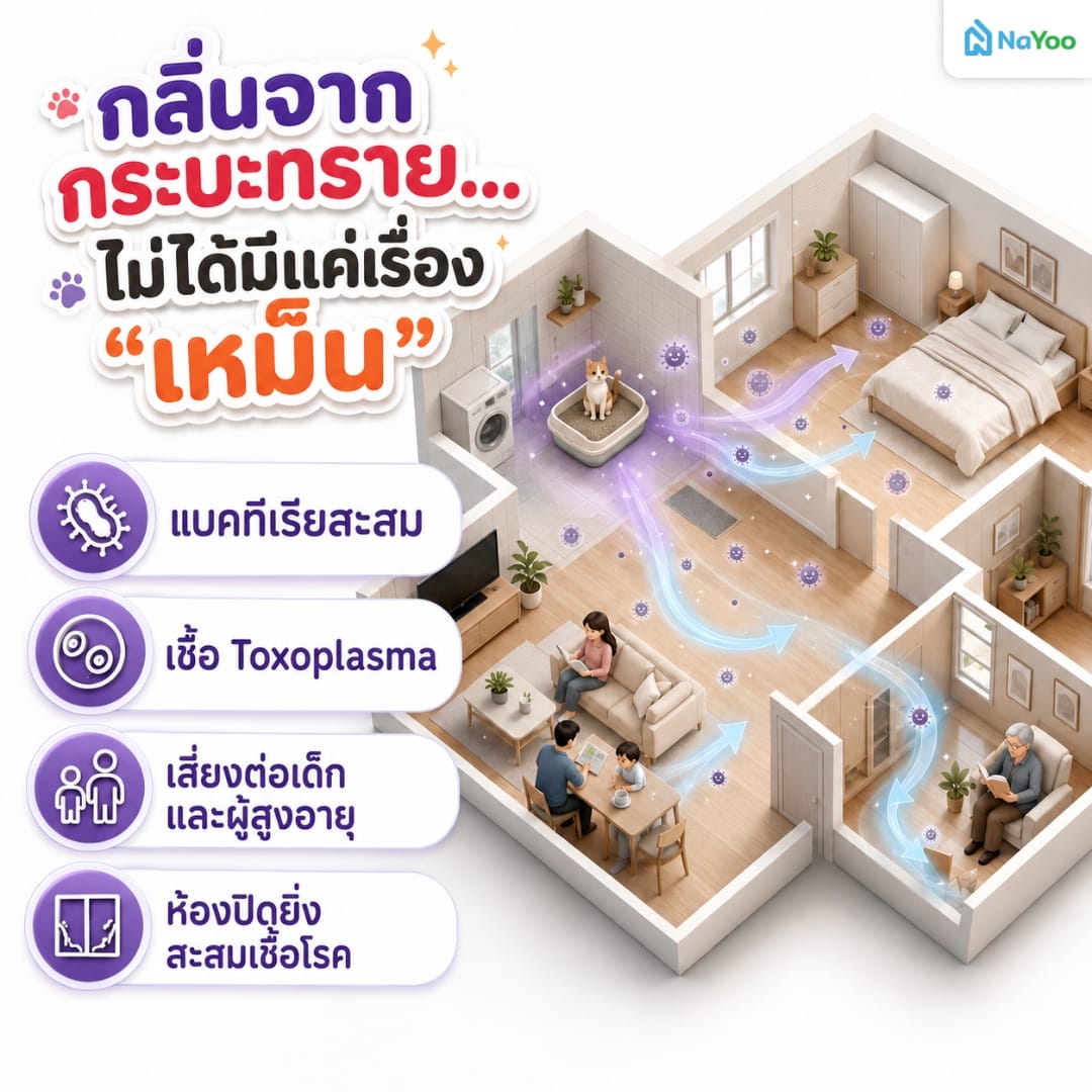 4 ปัญหากลิ่นไม่พึงประสงค์จากกระบะทราย