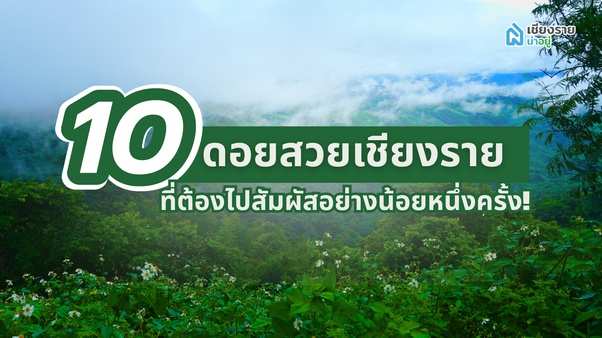 ดอยเชียงราย