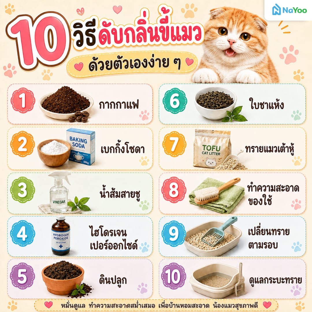 แนะนำ 10 วิธีดับกลิ่นขี้แมวด้วยตัวเอง