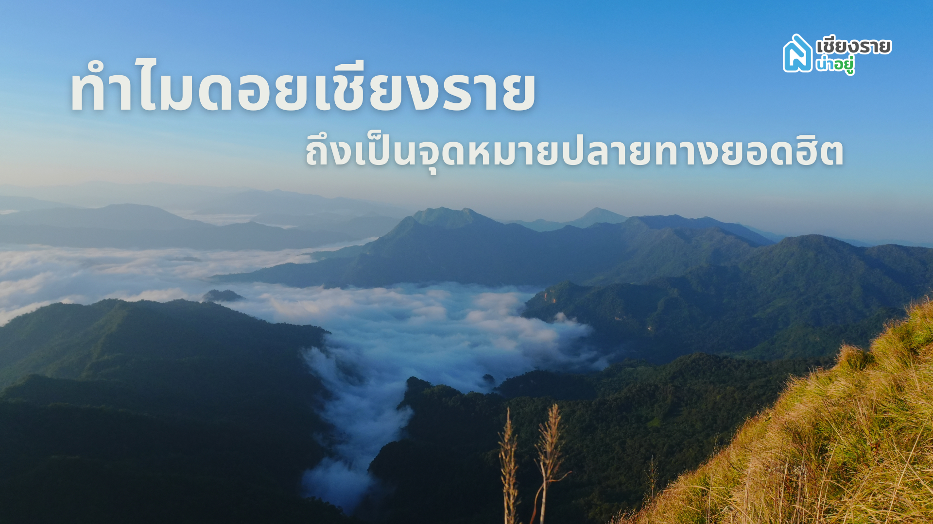 ดอยเชียงราย หน้าหนาว