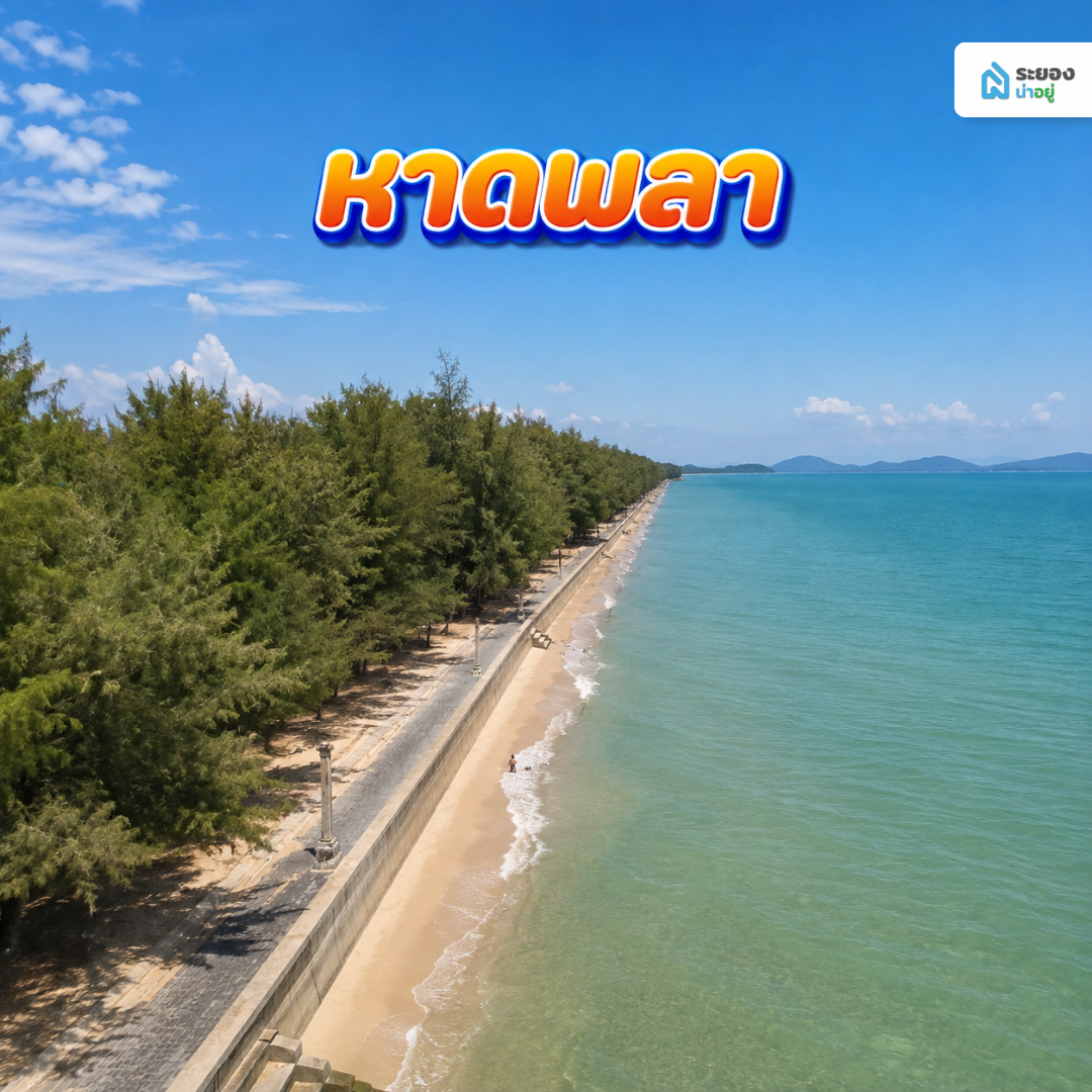 หาดพลา