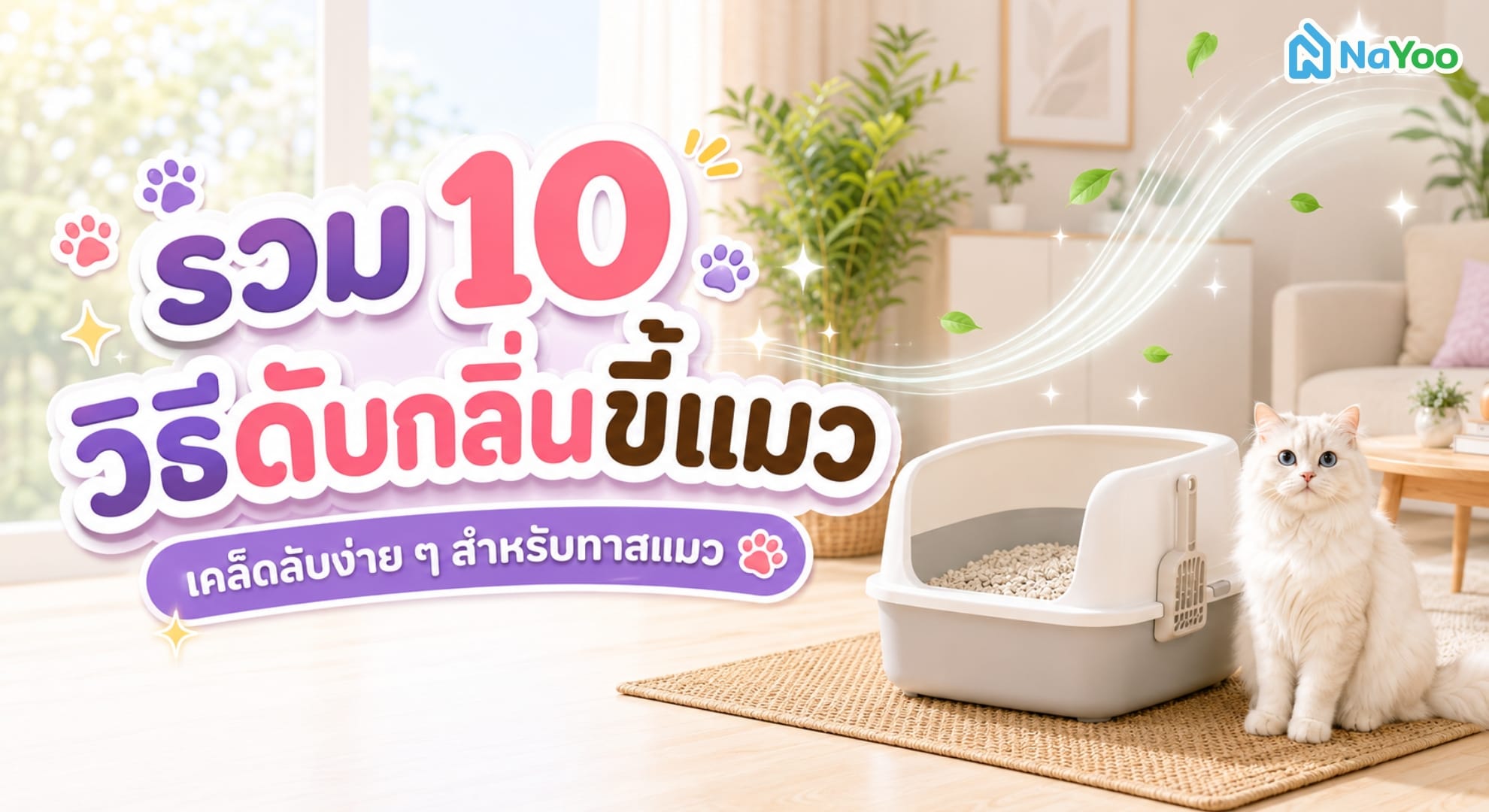 รวม 10 วิธีดับกลิ่นขี้แมวภายในห้อง