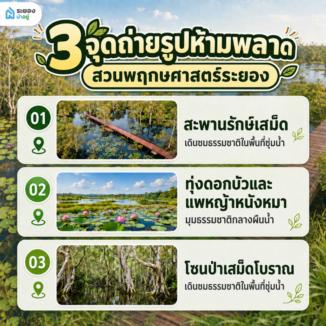 3 จุดถ่ายรูปห้ามพลาดใน สวนพฤกษศาสตร์ระยอง