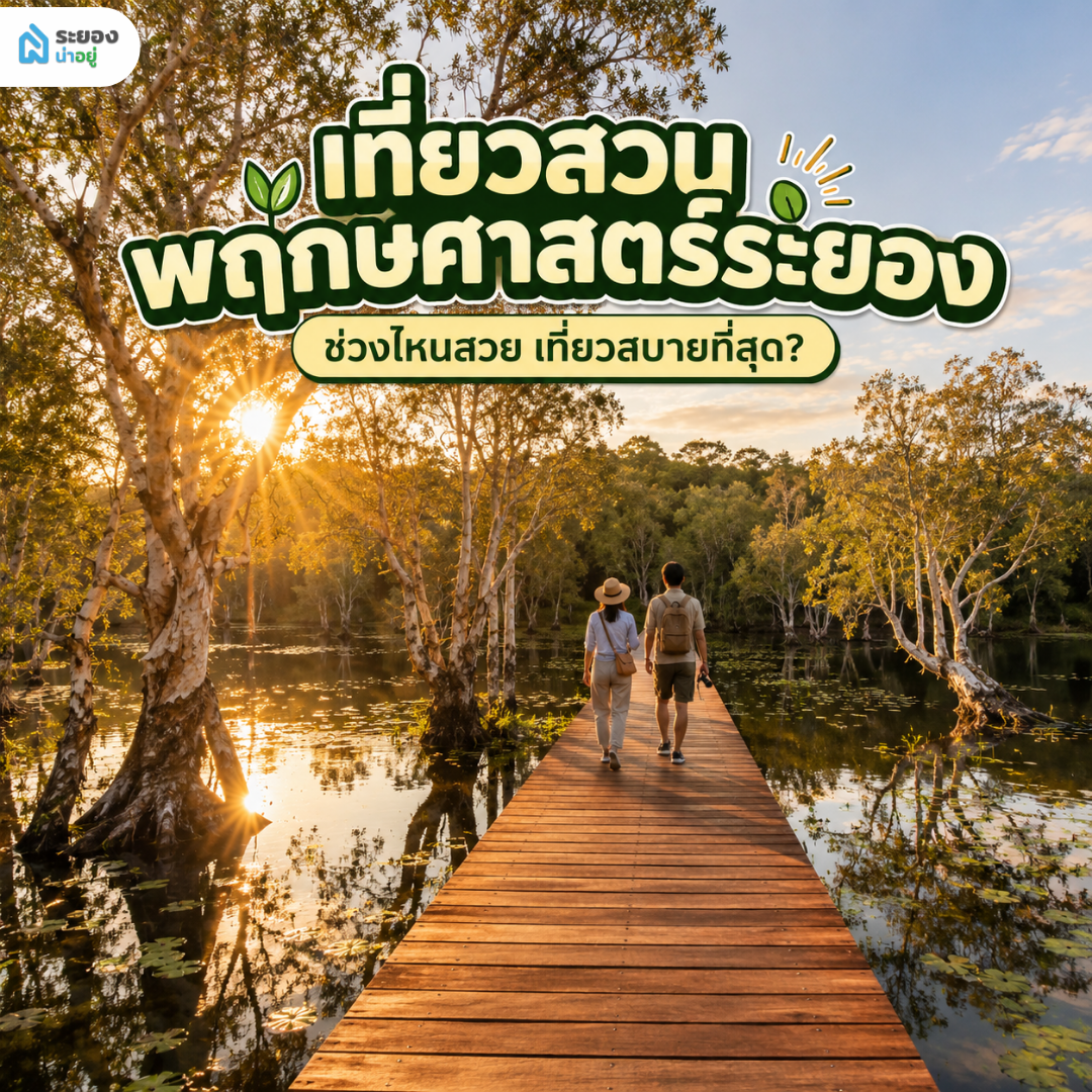 แนะนำช่วงเวลาน่าเที่ยว สวนพฤกษศาสตร์ระยอง