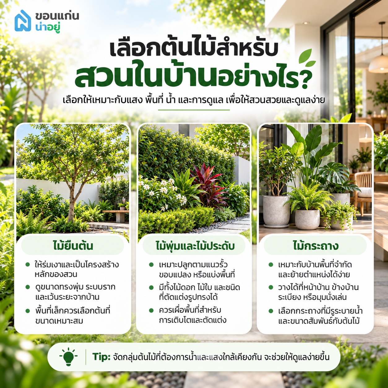 เลือกต้นไม้สำหรับสวนในบ้านอย่างไร