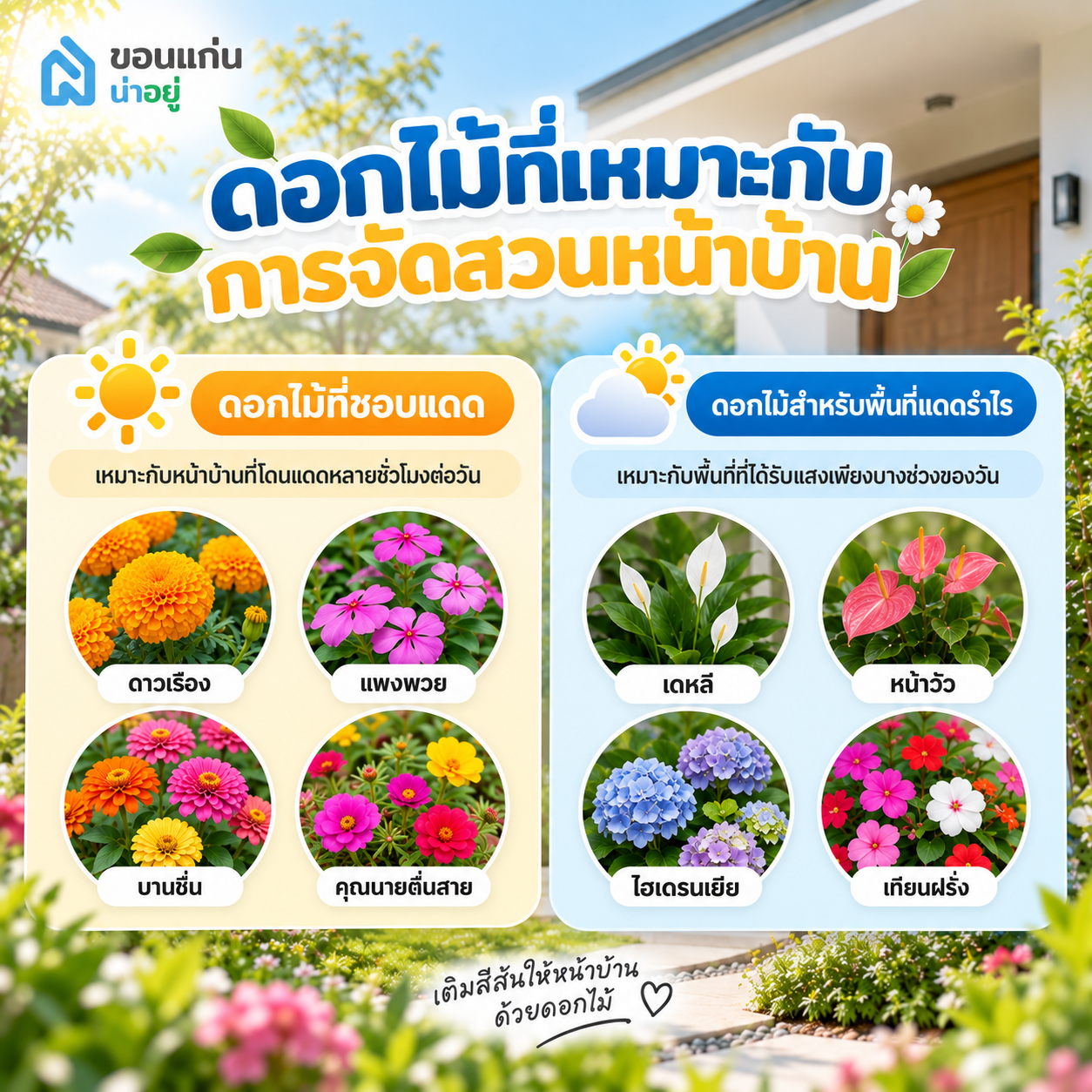 ดอกไม้ที่เหมาะกับการจัดสวนหน้าบ้าน