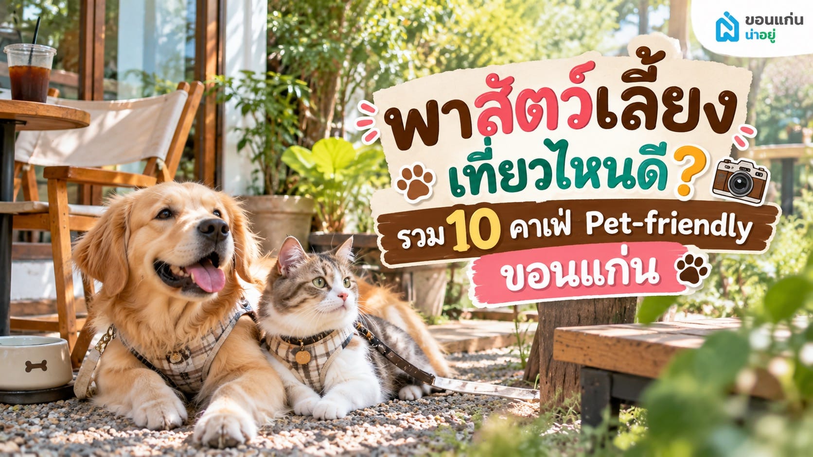 คาเฟ่ Pet-friendly ขอนแก่น ร้านน่านั่งที่พาสัตว์เลี้ยงเข้าได้