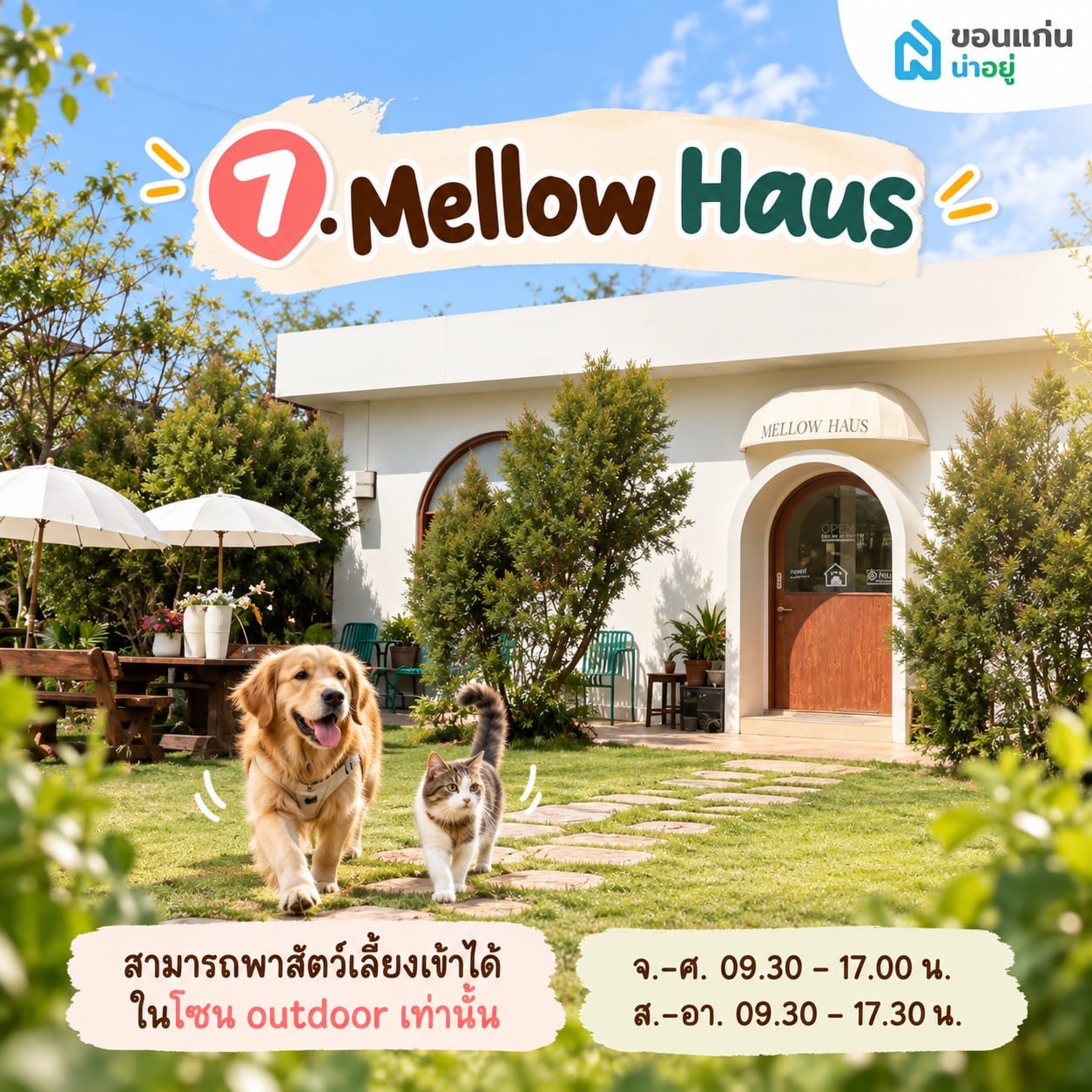 Mellow Haus