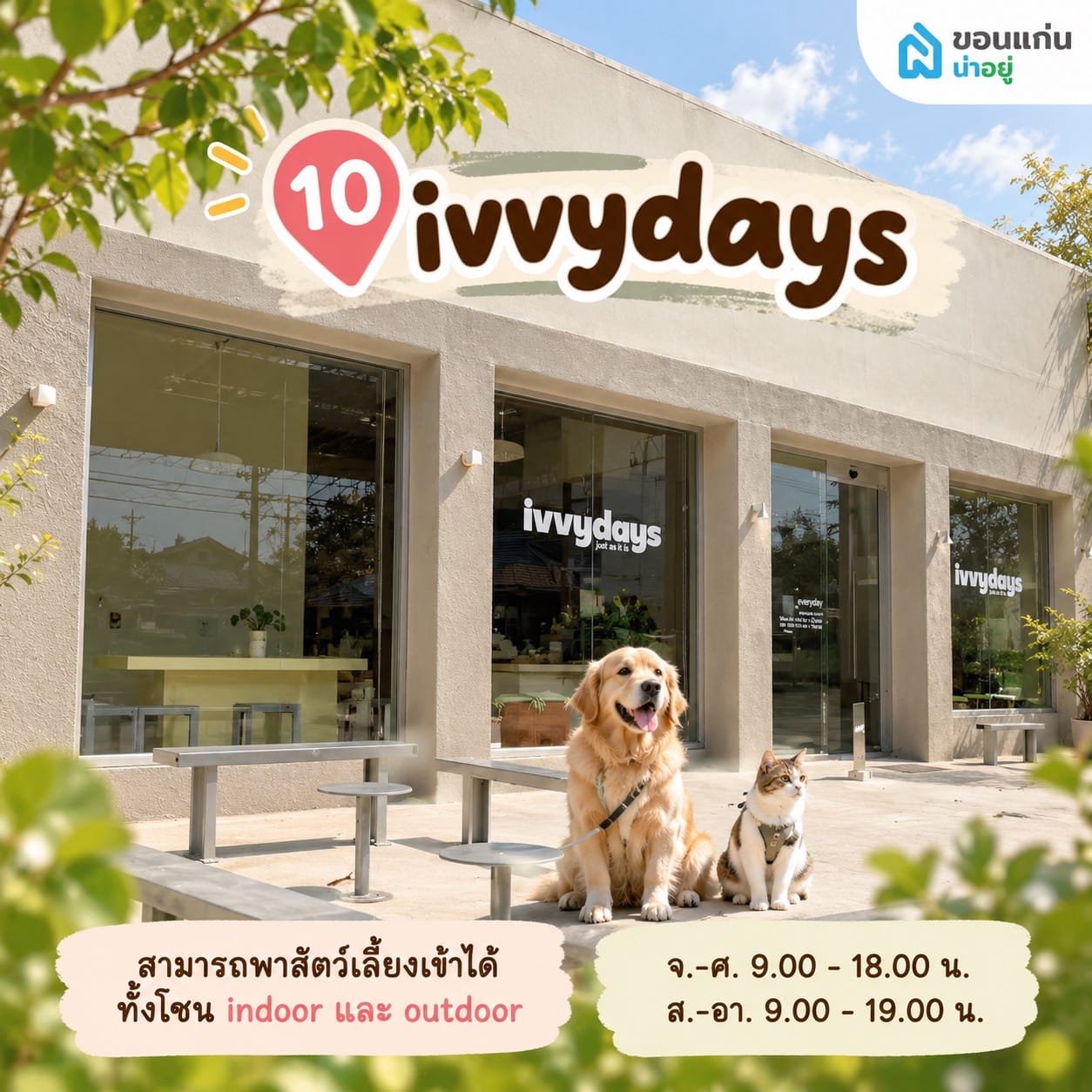  ivvydays